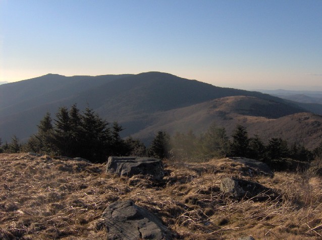 Grassy mountain balds, rocks and evergreen trees in the Roan Highlands