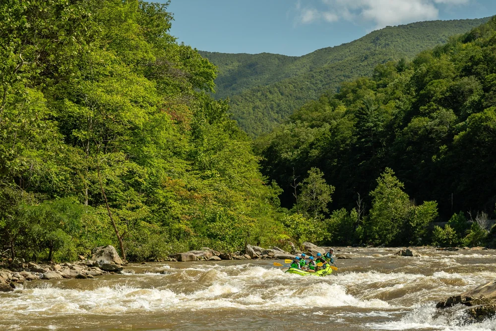 A guided rafting group on whitewater beneath the wooded Nolichucky Gorge