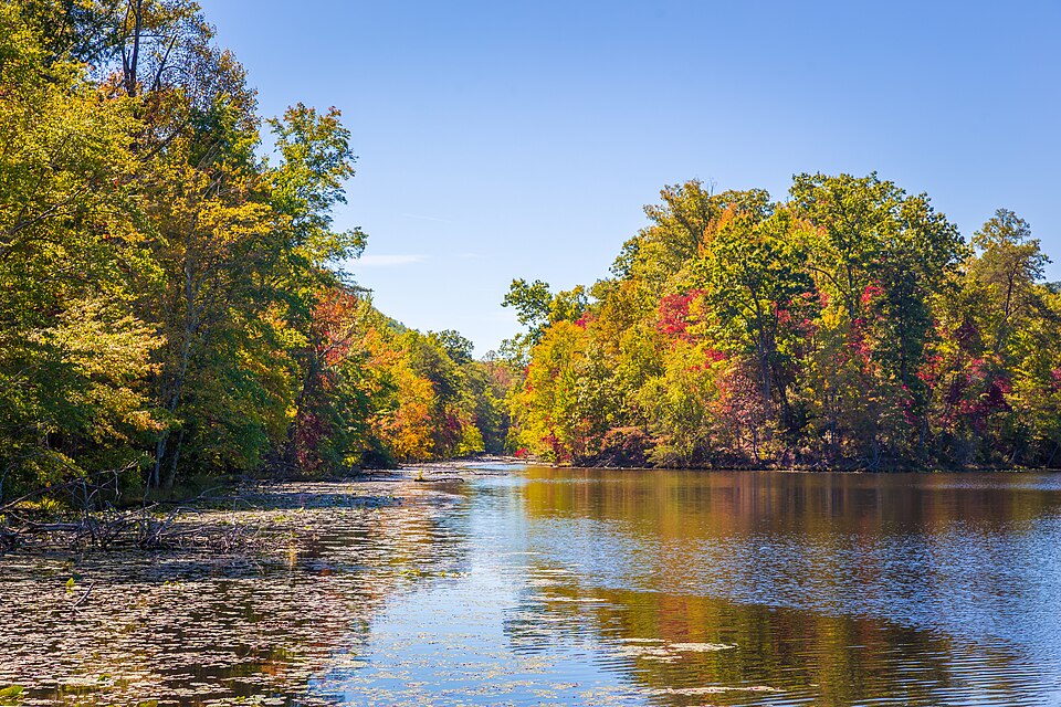 A calm river surrounded by colorful autumn trees